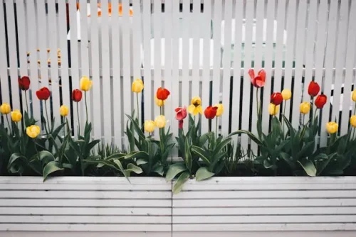 A white fence with flowers Seasonal gardening projects